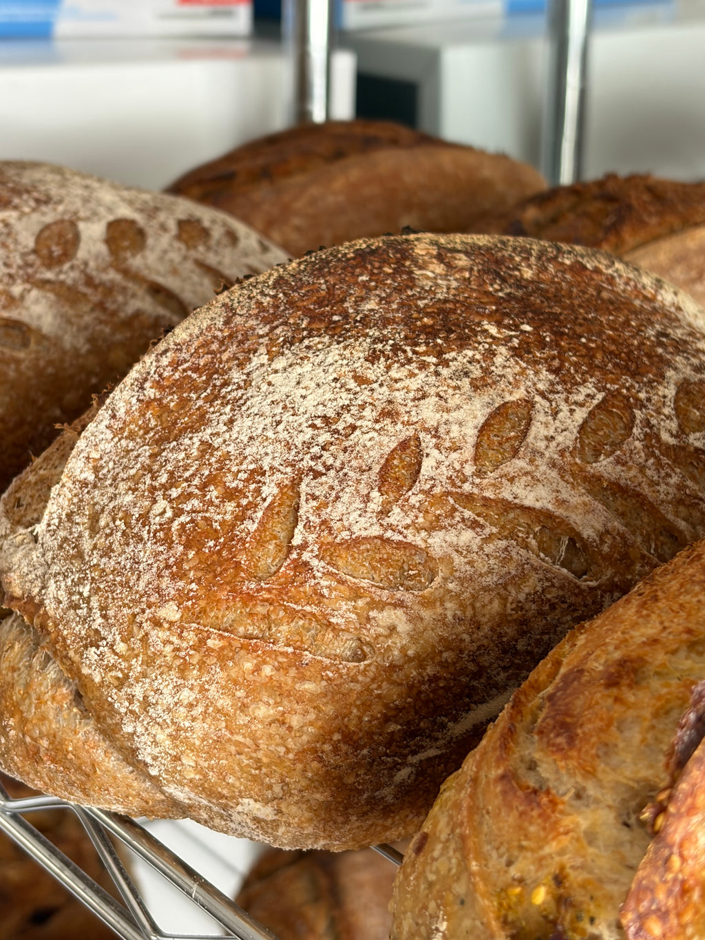 Whole Wheat loaf