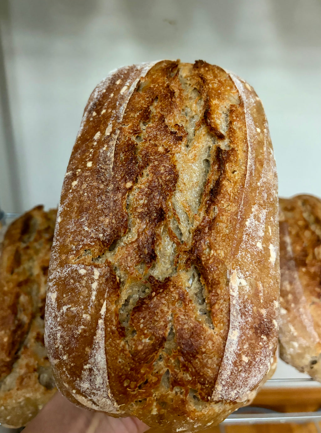 Country Rye loaf