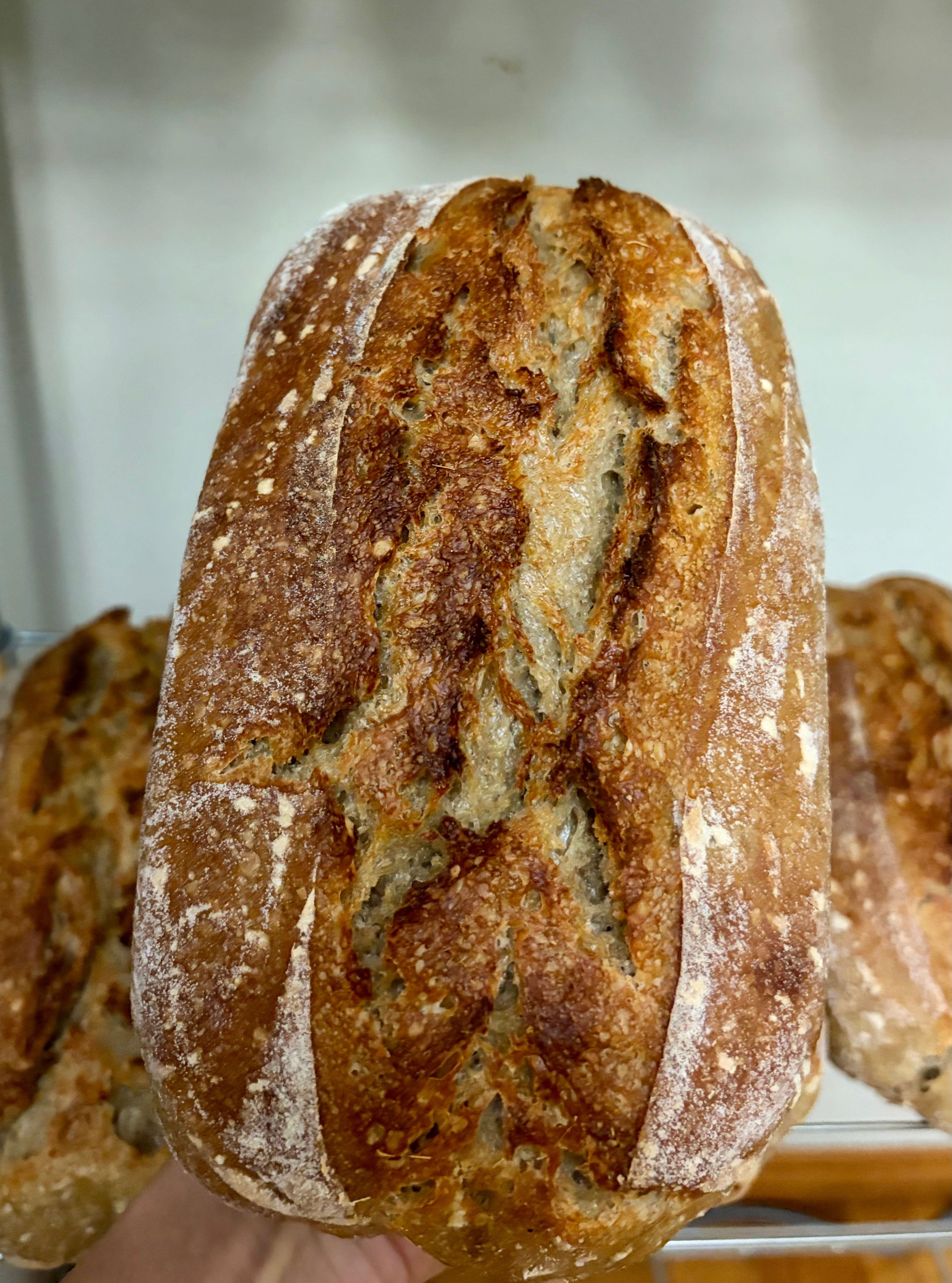Country Rye loaf