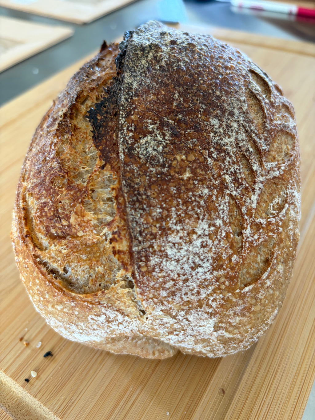 Whole Wheat loaf
